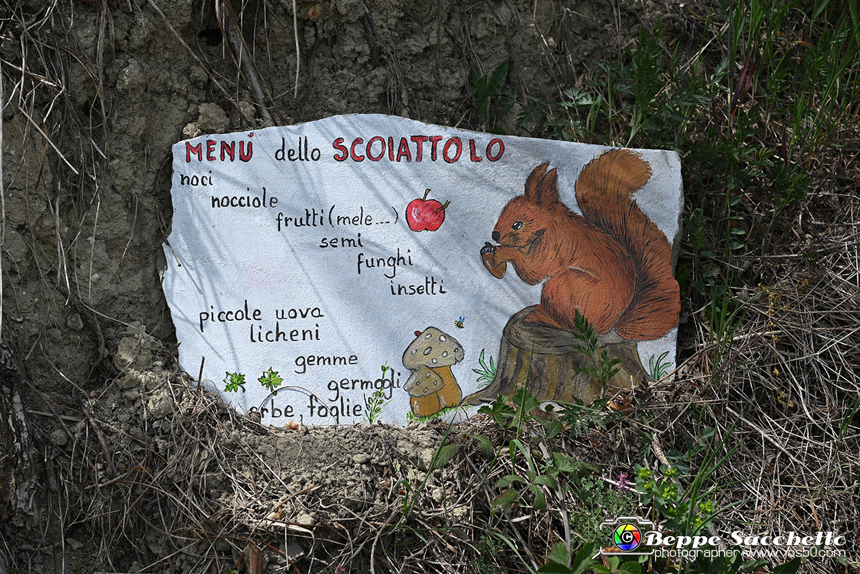 VBS_3124 - Mango (Cuneo) - Gnomovia.jpg